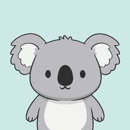 Kokopi Koalas