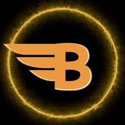 BitAngels