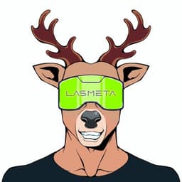 LasMeta
