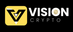 Vision
