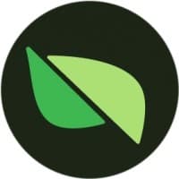 Pear Protocol