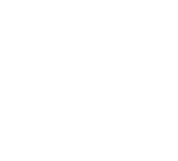SNPIT