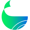 WhaleFin Markets Limited