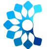 Blue Aster Capital