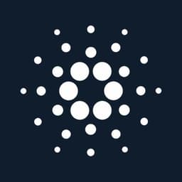 Cardano Feed
