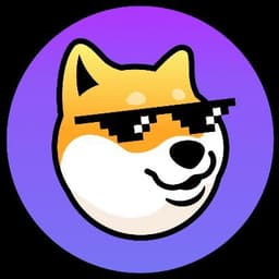 DOGECHAIN