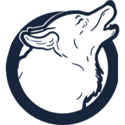 The Wolf Of All Streets