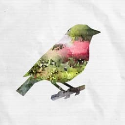 Robin Markets