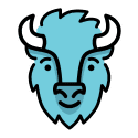 BISON