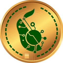 Avocado Blockchain Group