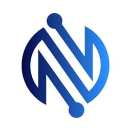 The Network Firm