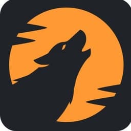 Crypto Panic