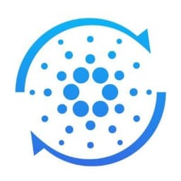 Crypto Loops