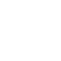 DPI Capital