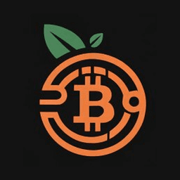 Satsuma Technology