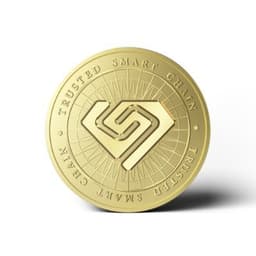 Trusted Smart Chain