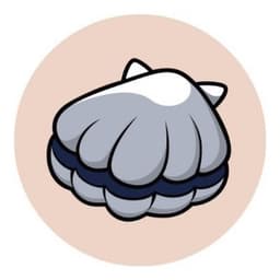 Scallop