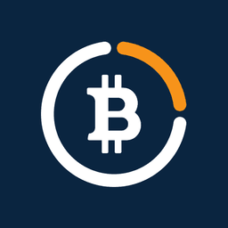 Bitcoin Loans Market
