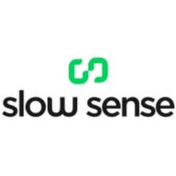 Slow Sense