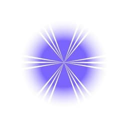 Hololoot