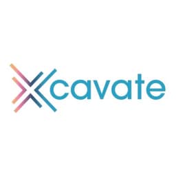 Xcavate Blockchain