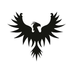 Multicoin Capital