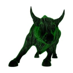 BitBull Capital