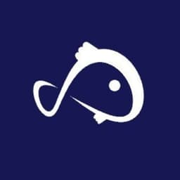 Koii Network