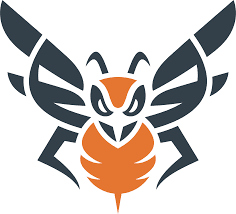 Cyber Hornet ETFs