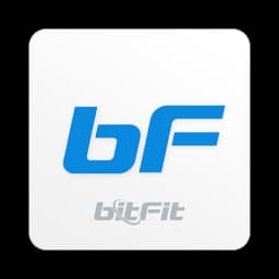 BitFit