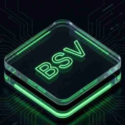 bitcoinsv.it