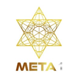 META 1 Coin