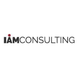 I AM Consulting Group