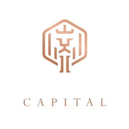 Insaaph Capital