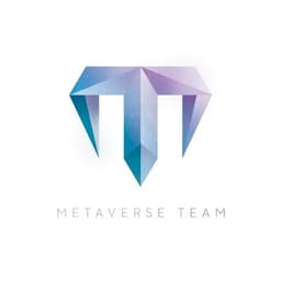 Metaverse Team