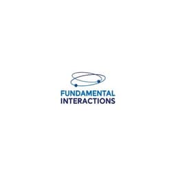 Fundamental Interactions
