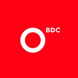 BDC Consulting