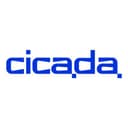 Cicada