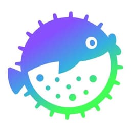 Puffer Finance