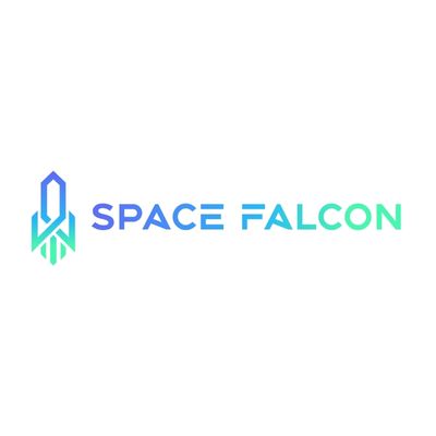 SpaceFalcon