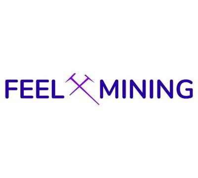 Feel Mining