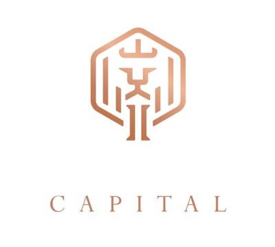Insaaph Capital